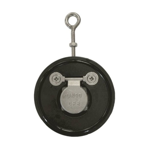 Клапан обратный стальной однодисковый межфланцевый 1,6 МПа Benarmo 50х16 мм в Москве