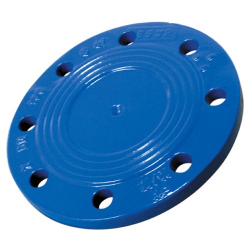 Заглушка фланцевая ЗФ Ду-50 эпокси ГОСТ ISO 2531-2012 в Москве